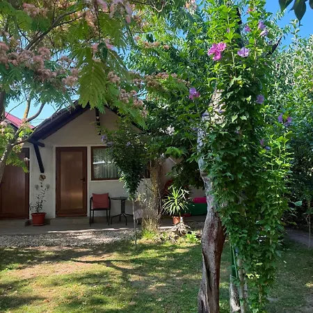 Casa Rustic Πανσιόν
