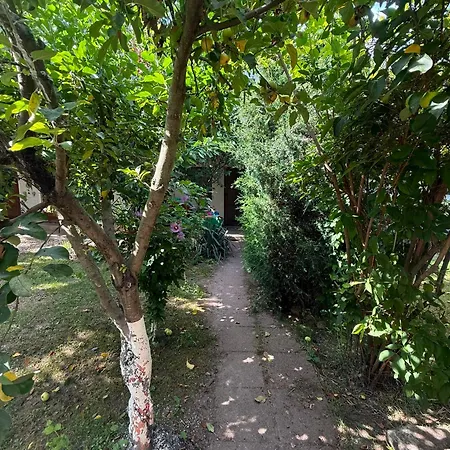 Casa Rustic Πανσιόν *