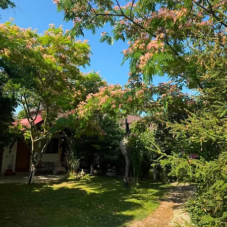 Casa Rustic Πανσιόν